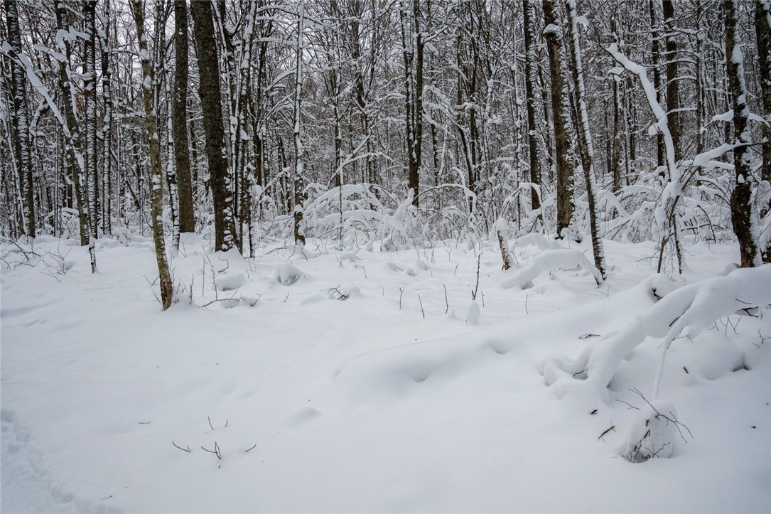 Land at Block 4 Comet Road, Exeland, WI 54835 — photo 13