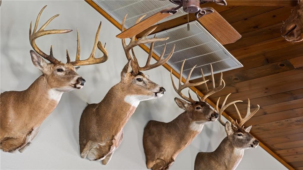 Land at Block 4 Comet Road, Exeland, WI 54835 — photo 25