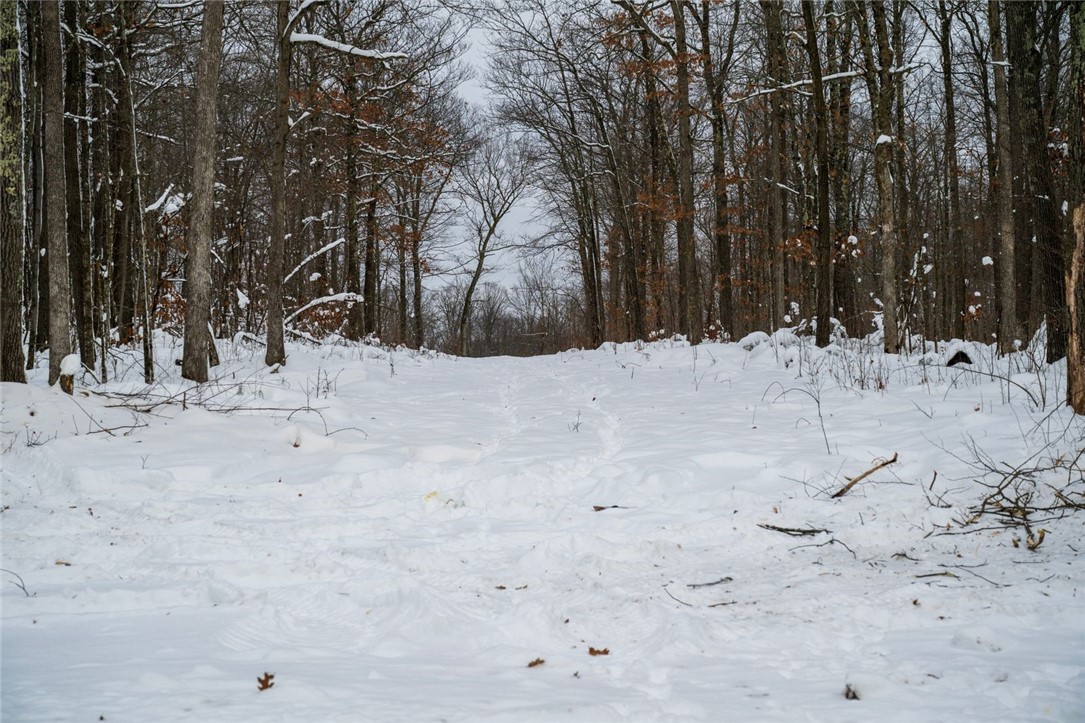 Land at Block 4 Comet Road, Exeland, WI 54835 — photo 8