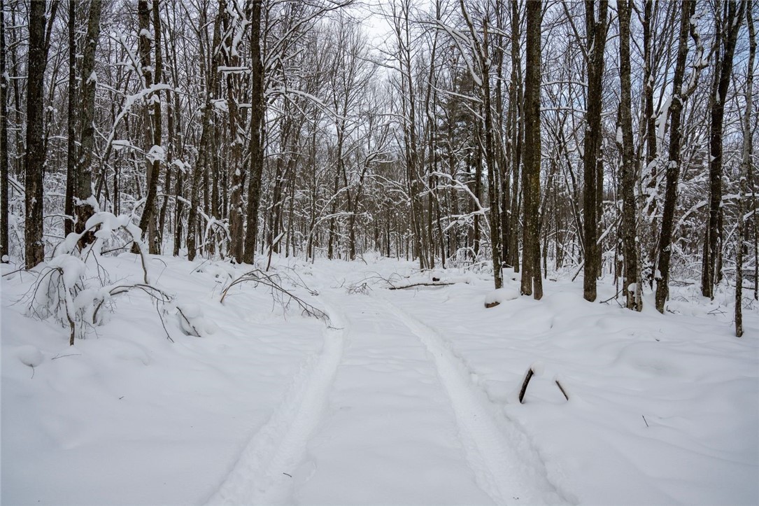 Land at Block 4 Comet Road, Exeland, WI 54835 — photo 10