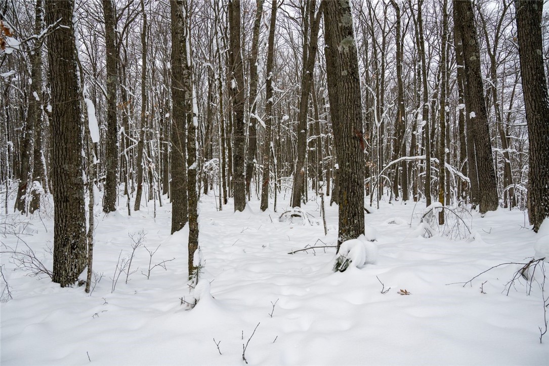 Land at Block 5 Comet Road, Exeland, WI 54835 — photo 11
