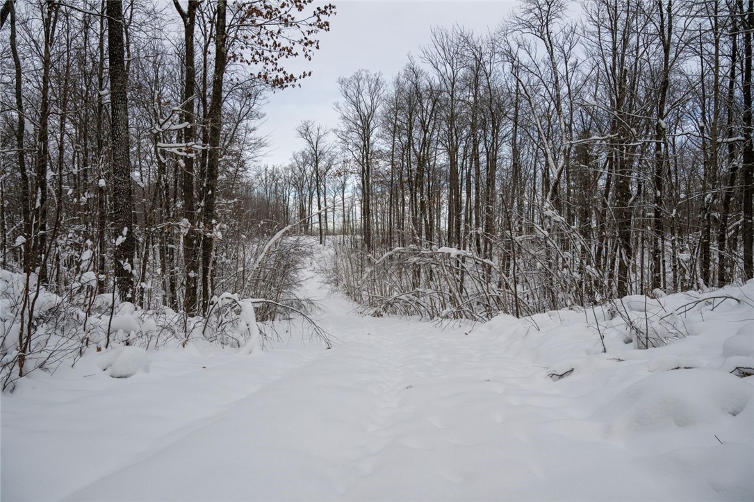 Land at Block 5 Comet Road, Exeland, WI 54835 — photo 13