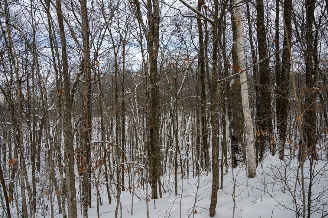 Land at Block 5 Comet Road, Exeland, WI 54835 — photo 14