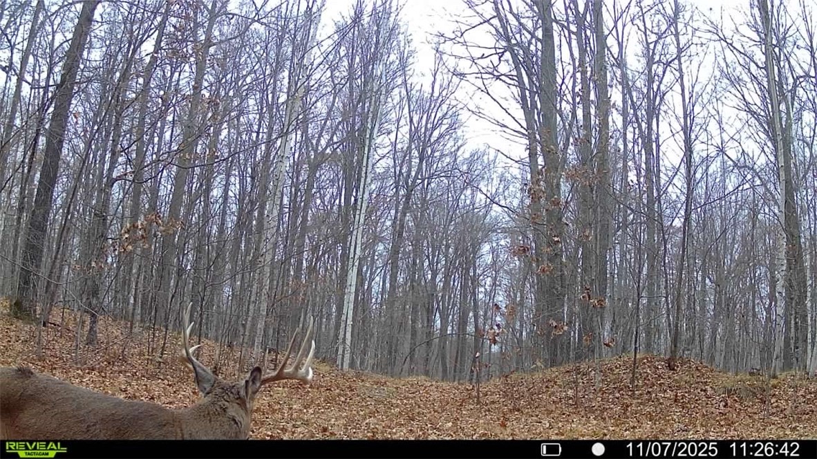 Land at Block 5 Comet Road, Exeland, WI 54835 — photo 17