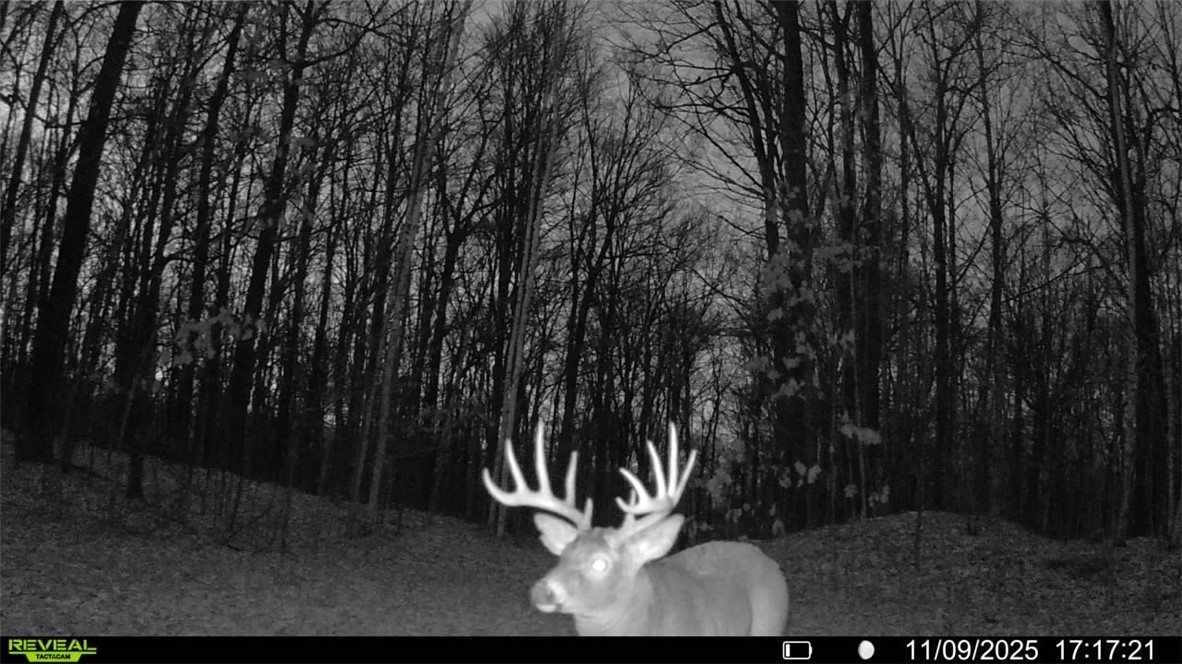 Land at Block 5 Comet Road, Exeland, WI 54835 — photo 18