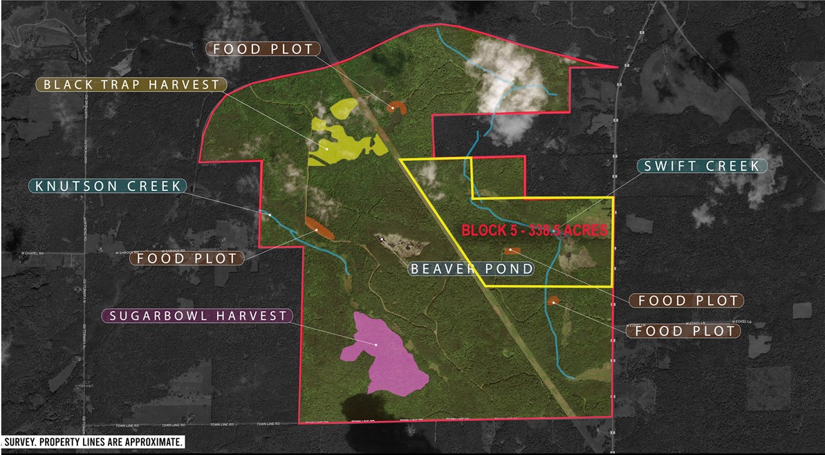Land at Block 5 Comet Road, Exeland, WI 54835 — photo 29