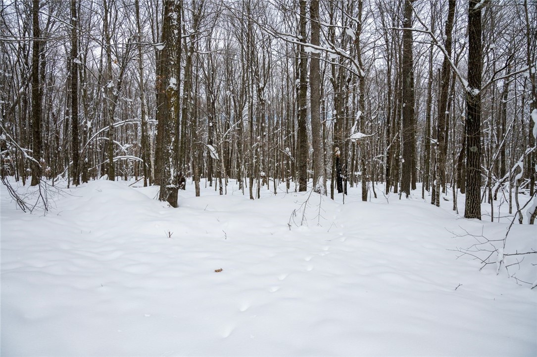 Land at Block 6 Comet Road, Exeland, WI 54835 — photo 11