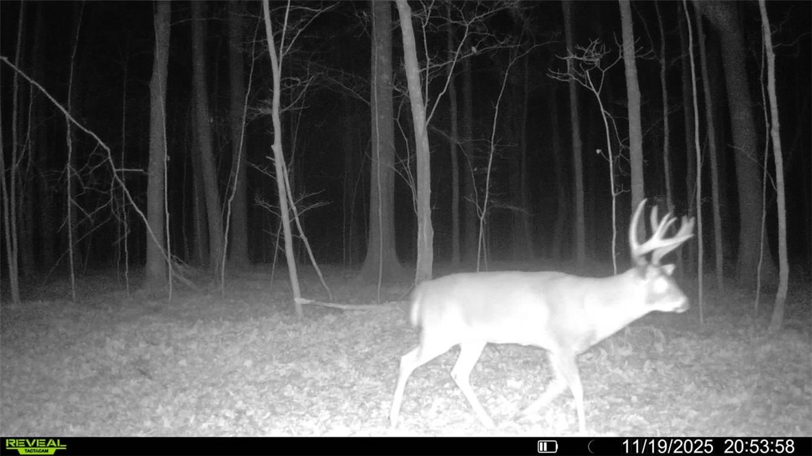 Land at Block 6 Comet Road, Exeland, WI 54835 — photo 14