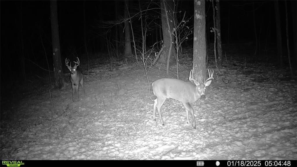 Land at Block 6 Comet Road, Exeland, WI 54835 — photo 15