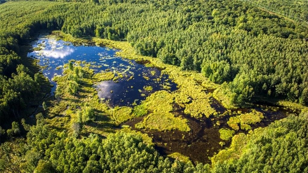 Land at Block 6 Comet Road, Exeland, WI 54835 — photo 20