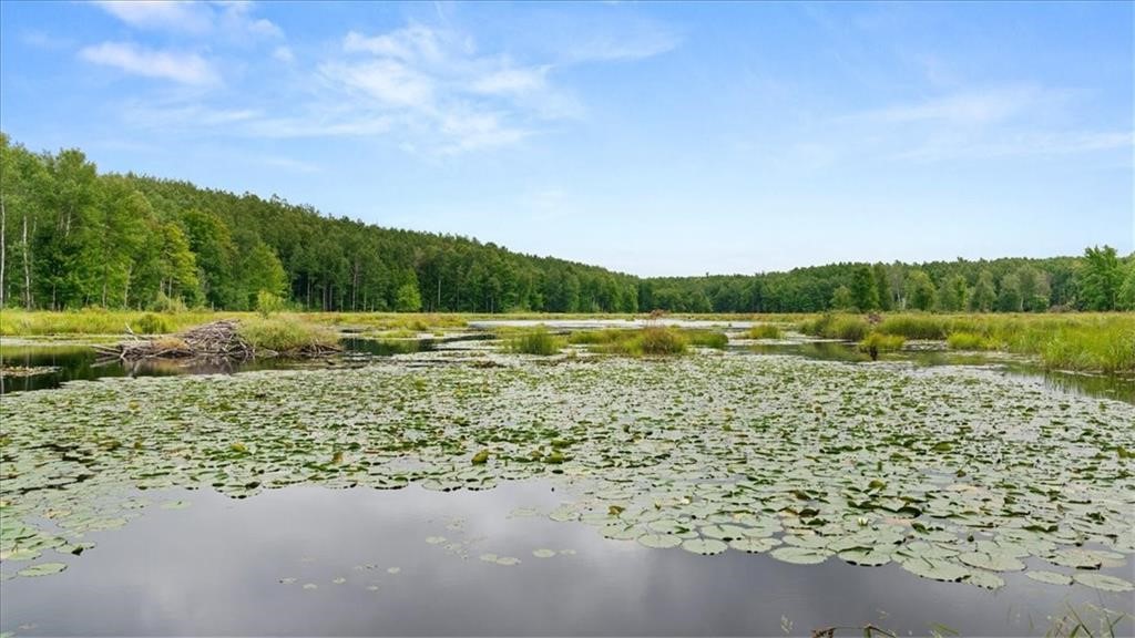 Land at Block 6 Comet Road, Exeland, WI 54835 — photo 22