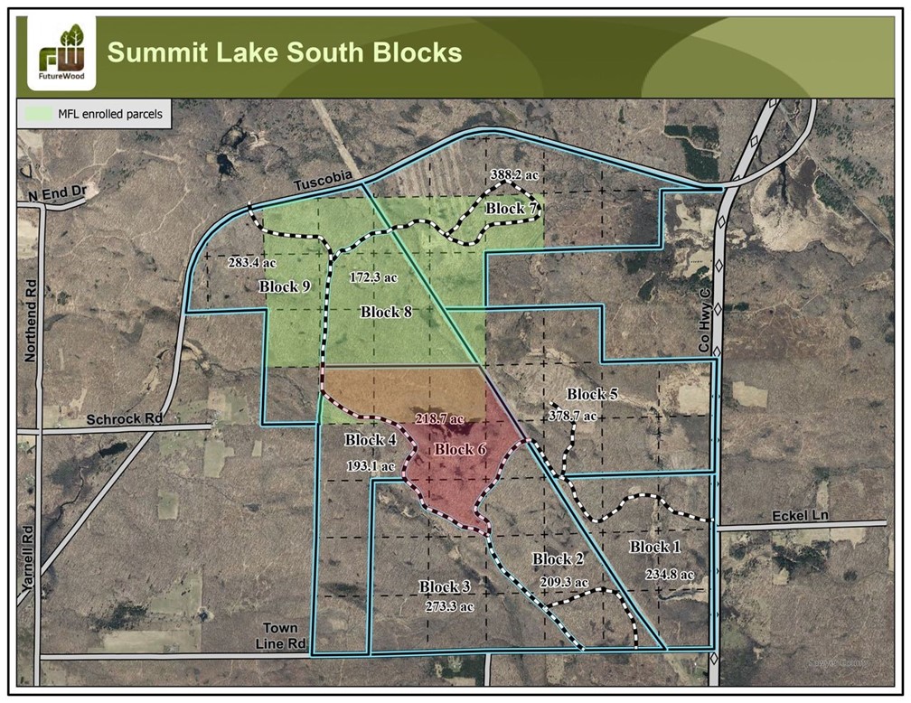 Land at Block 6 Comet Road, Exeland, WI 54835 — photo 6