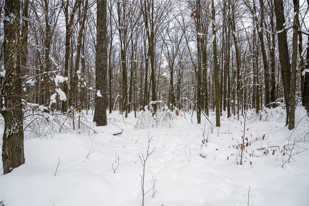 Land at Block 6 Comet Road, Exeland, WI 54835 — photo 8