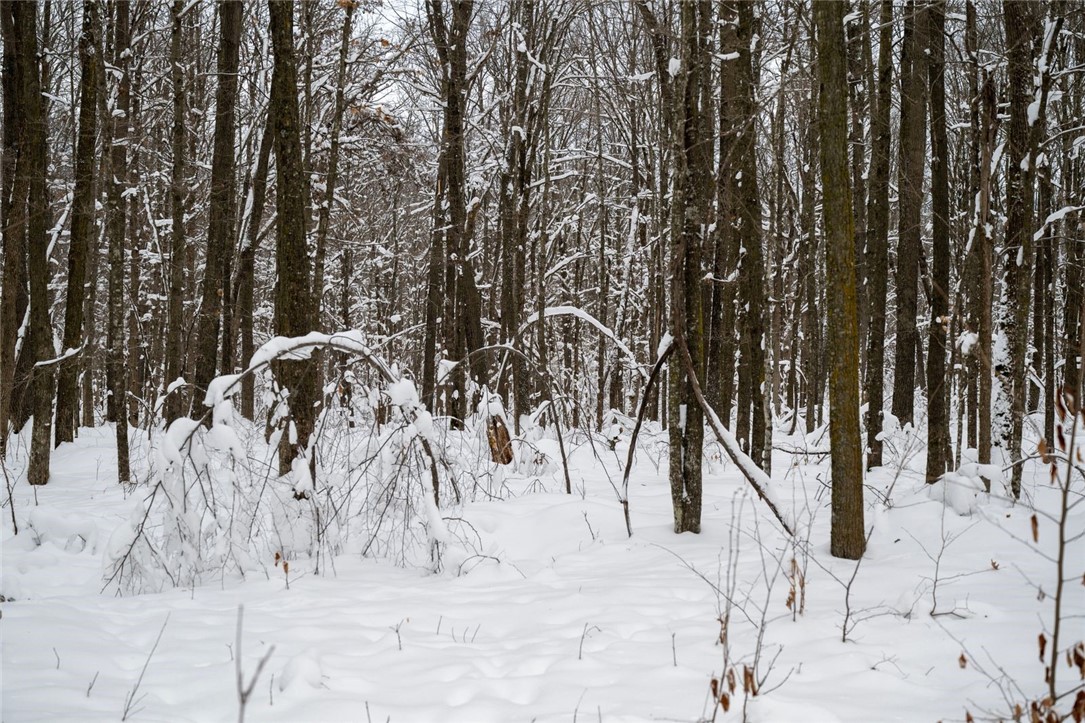 Land at Block 6 Comet Road, Exeland, WI 54835 — photo 9