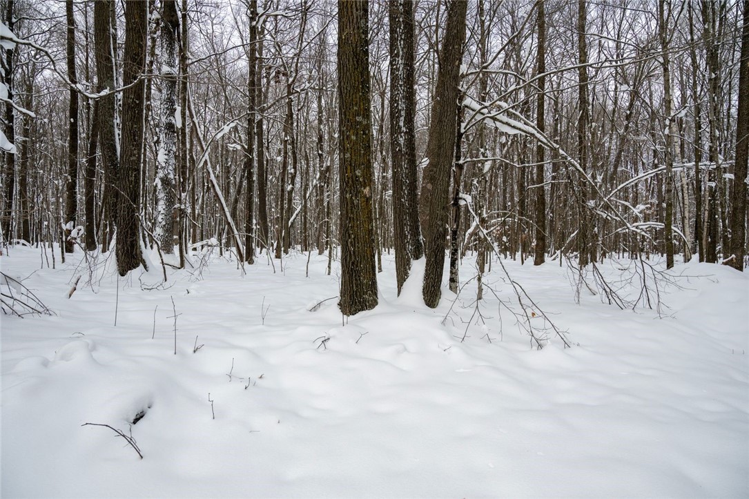 Land at Block 6 Comet Road, Exeland, WI 54835 — photo 10