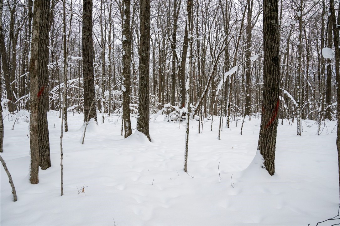 Land at Block 8 Comet Road, Exeland, WI 54835 — photo 11