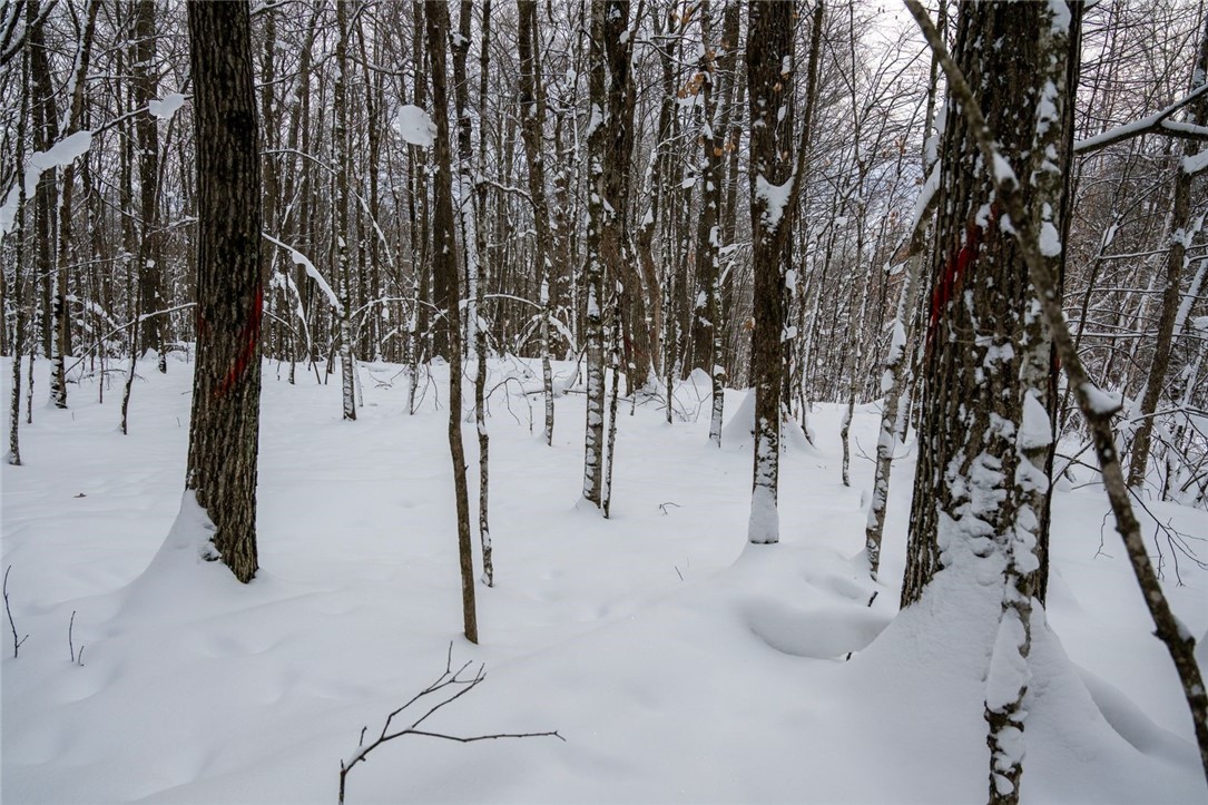 Land at Block 8 Comet Road, Exeland, WI 54835 — photo 12