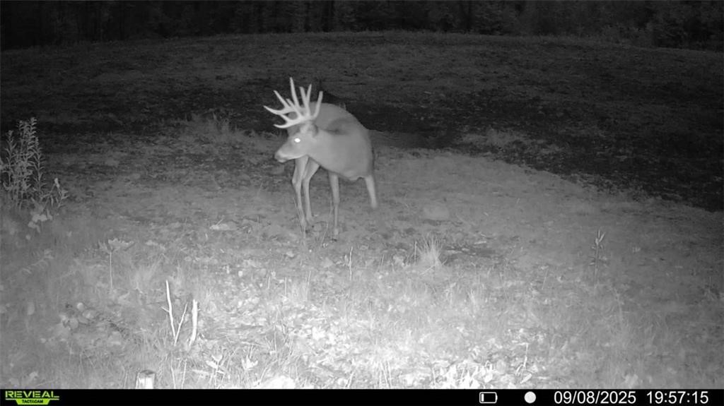 Land at Block 8 Comet Road, Exeland, WI 54835 — photo 13