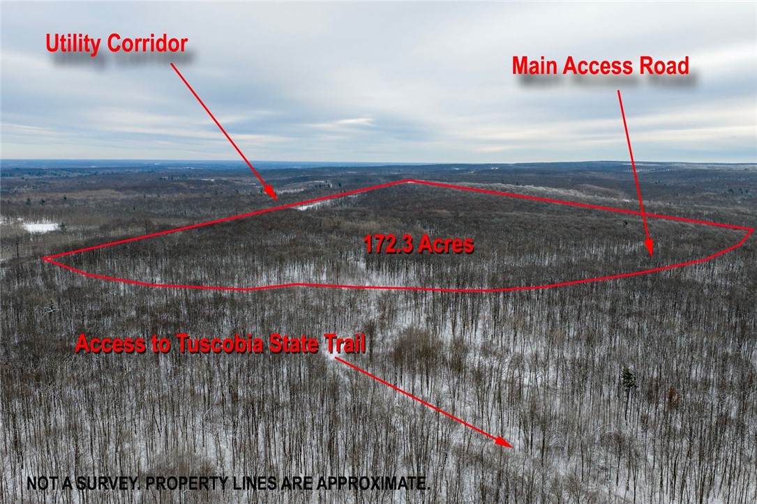 Land at Block 8 Comet Road, Exeland, WI 54835 — photo 3