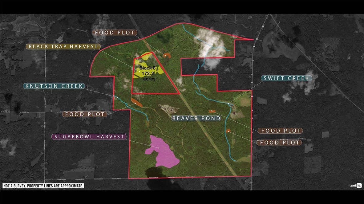 Land at Block 8 Comet Road, Exeland, WI 54835 — photo 23