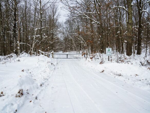 Land at Block 8 Comet Road, Exeland, WI 54835 — photo 1