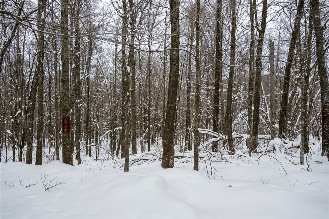 Land at Block 8 Comet Road, Exeland, WI 54835 — photo 9