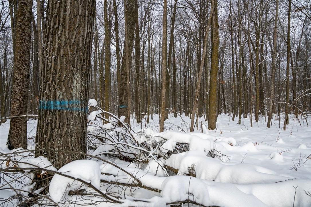 Land at Block 8 Comet Road, Exeland, WI 54835 — photo 10