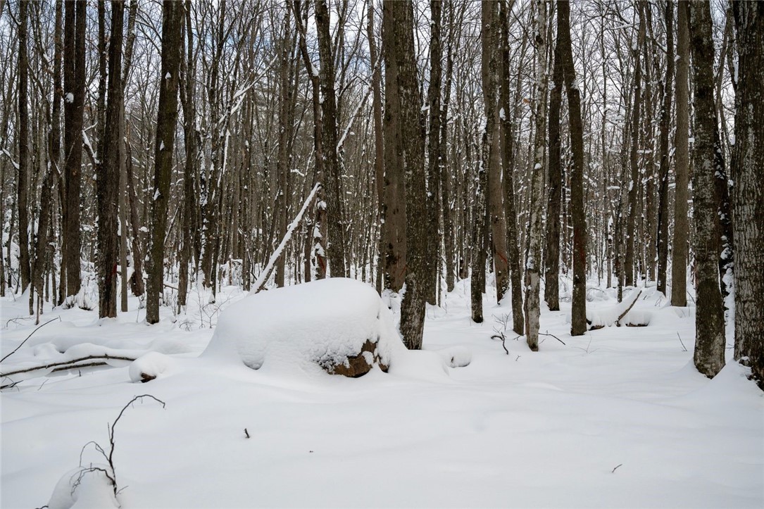 Land at Block 9 Comet Road, Exeland, WI 54835 — photo 11