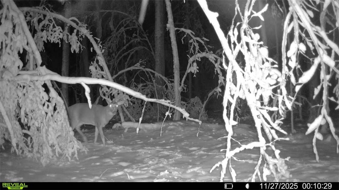 Land at Block 9 Comet Road, Exeland, WI 54835 — photo 15