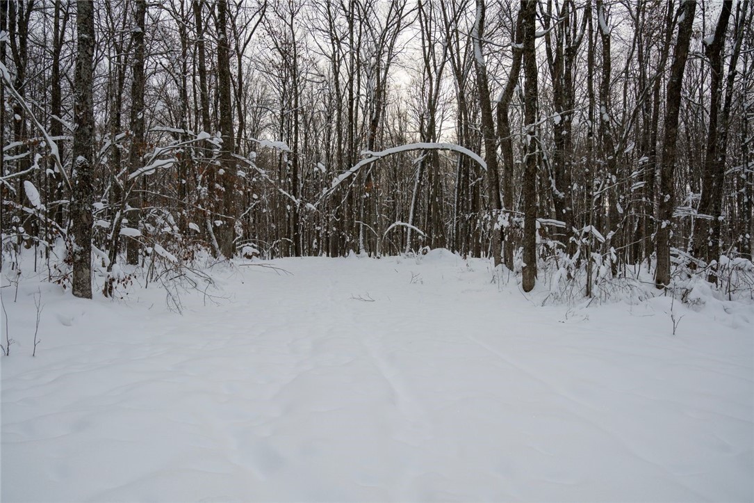 Land at Block 9 Comet Road, Exeland, WI 54835 — photo 7