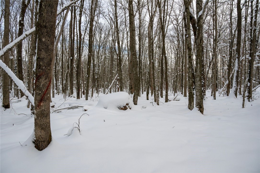 Land at Block 9 Comet Road, Exeland, WI 54835 — photo 10