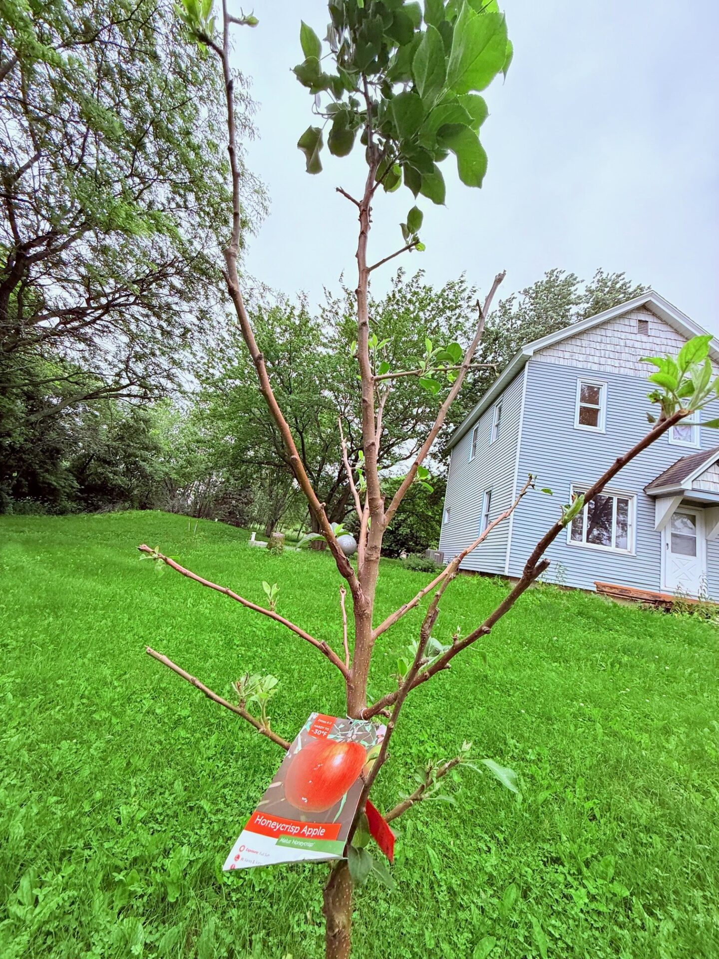 Residential at E5690 510th Avenue, Menomonie, WI 54751 — photo 32