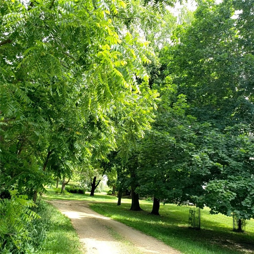 Residential at E6004 510th Avenue, Menomonie, WI 54751 — photo 11