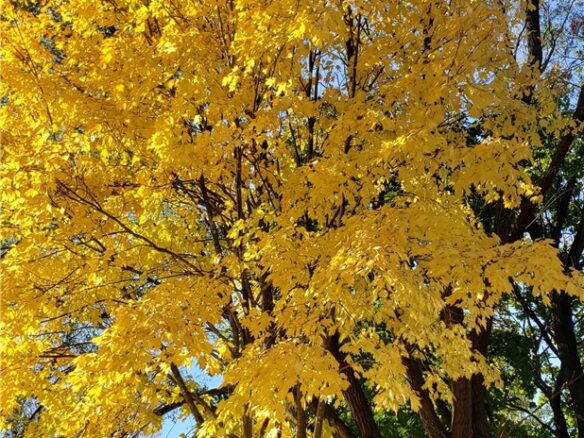 Residential at E6004 510th Avenue, Menomonie, WI 54751 — photo 1