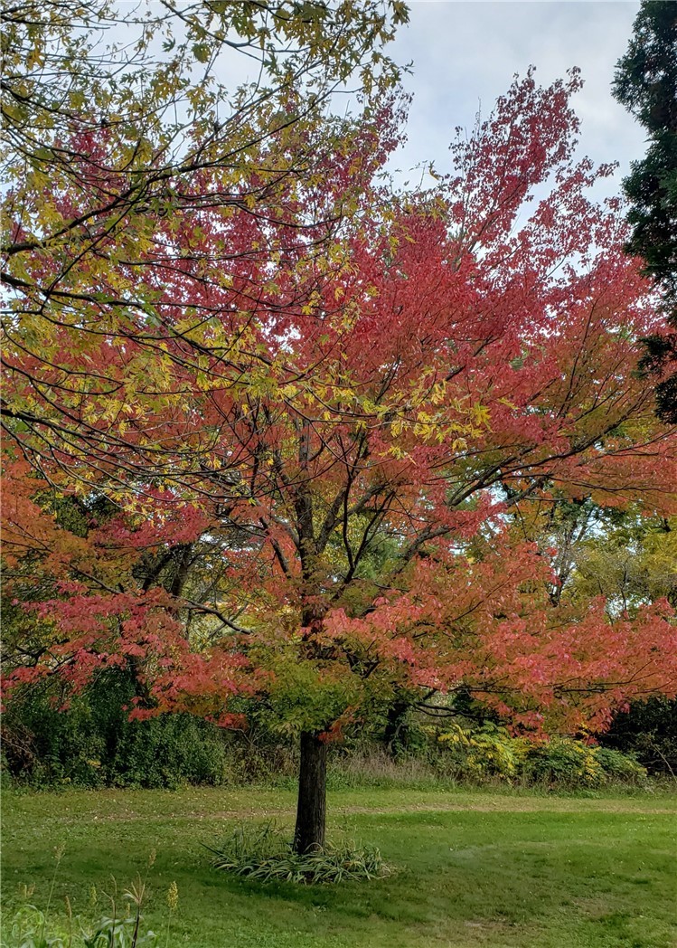 Residential at E6004 510th Avenue, Menomonie, WI 54751 — photo 9