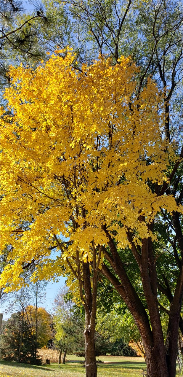 Residential at E6004 510th Avenue, Menomonie, WI 54751 — photo 1