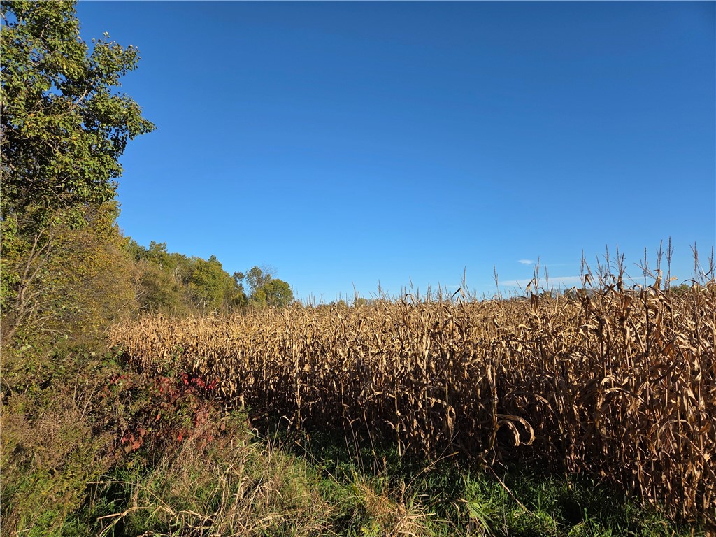 Land at Intersection of Hwy. 48 & Co. Rd. 25, Rice Lake, WI 54868 — photo 2