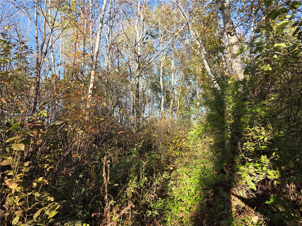 Land at Intersection of Hwy. 48 & Co. Rd. 25, Rice Lake, WI 54868 — photo 3