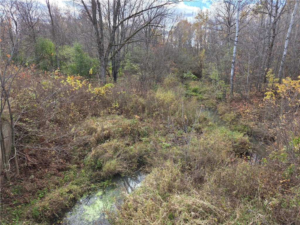 Land at Intersection of Hwy. 48 & Co. Rd. 25, Rice Lake, WI 54868 — photo 6