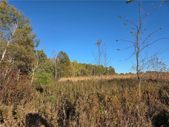Land at Intersection of Hwy. 48 & Co. Rd. 25, Rice Lake, WI 54868 — photo 1