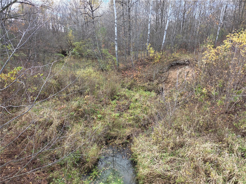 Land at Intersection of Hwy. 48 & Co. Rd. 25, Rice Lake, WI 54868 — photo 7