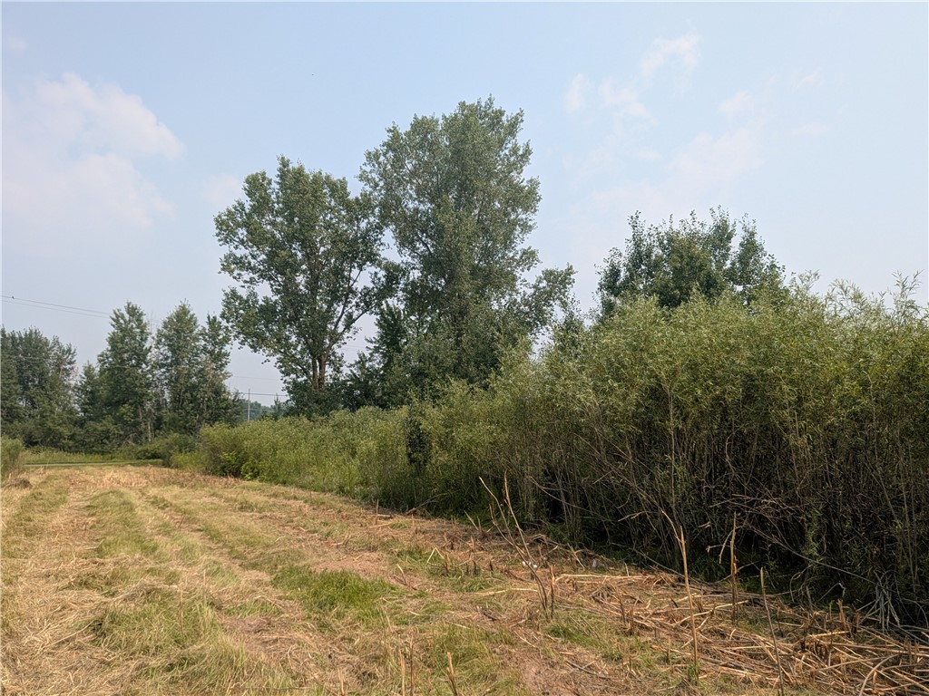 Commercial Sale at LOT 8 DEVELOPMENT Drive, Stanley, WI 54768 — photo 4