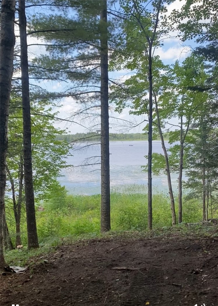 Residential at Lot 1 & Lot 2 South Road, Hayward, WI 54843 — photo 8