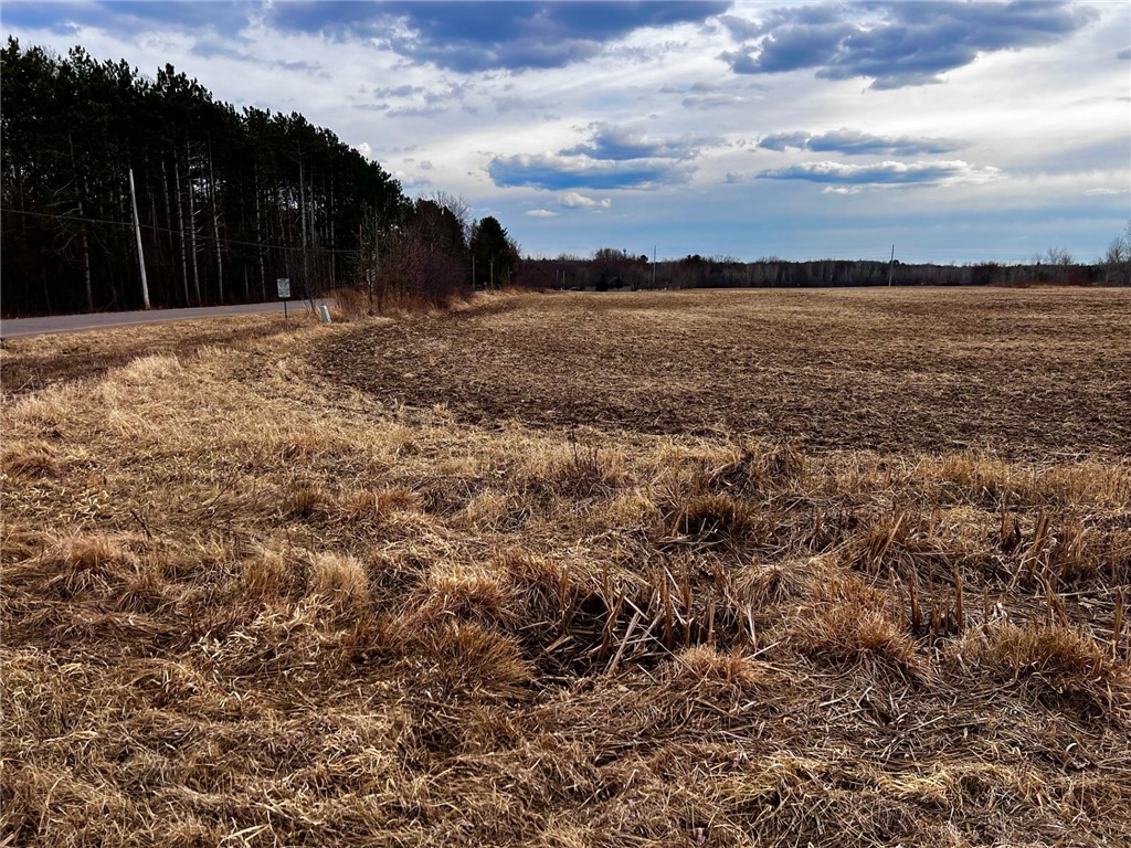Residential at Lot 1 Main Street, Cadott, WI 54727 — photo 2