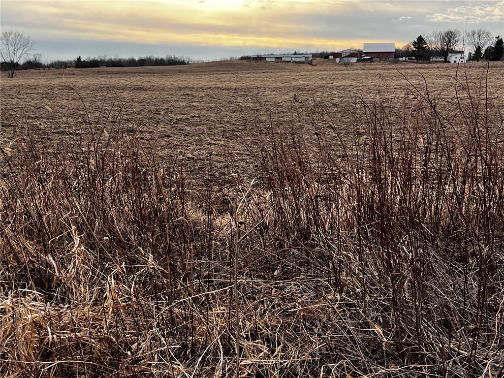 Residential at Lot 1 Main Street, Cadott, WI 54727 — photo 4