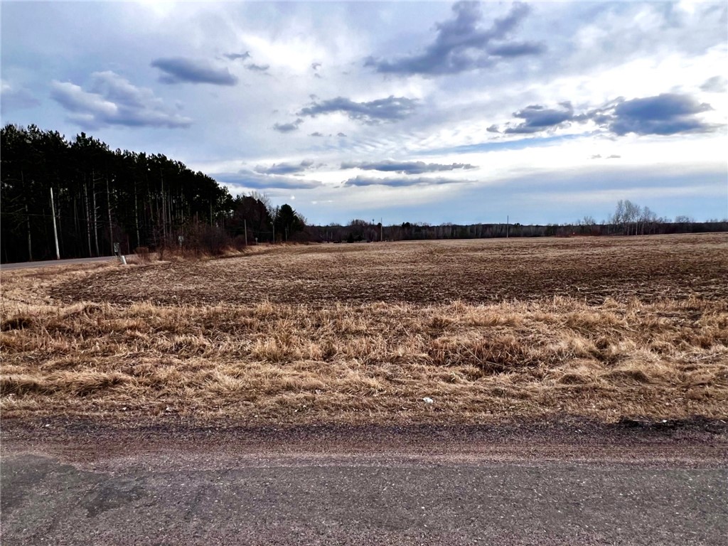 Residential at Lot 1 Main Street, Cadott, WI 54727 — photo 7