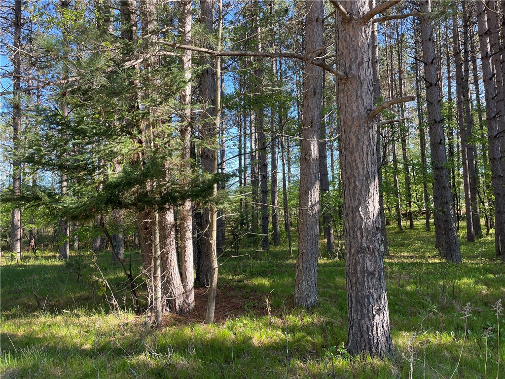 Residential at Lot 1 Murphy Boulevard, Hayward, WI 54843 — photo 6