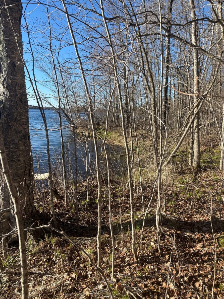 Land at Lot 11 Lake Winter Road, Winter, WI 54896 — photo 3