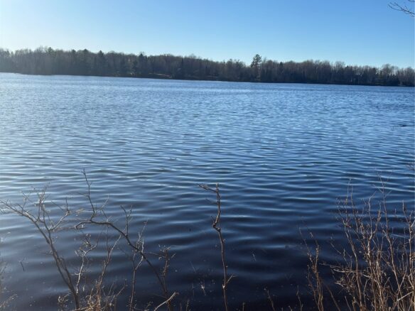 Land at Lot 11 Lake Winter Road, Winter, WI 54896 — photo 1