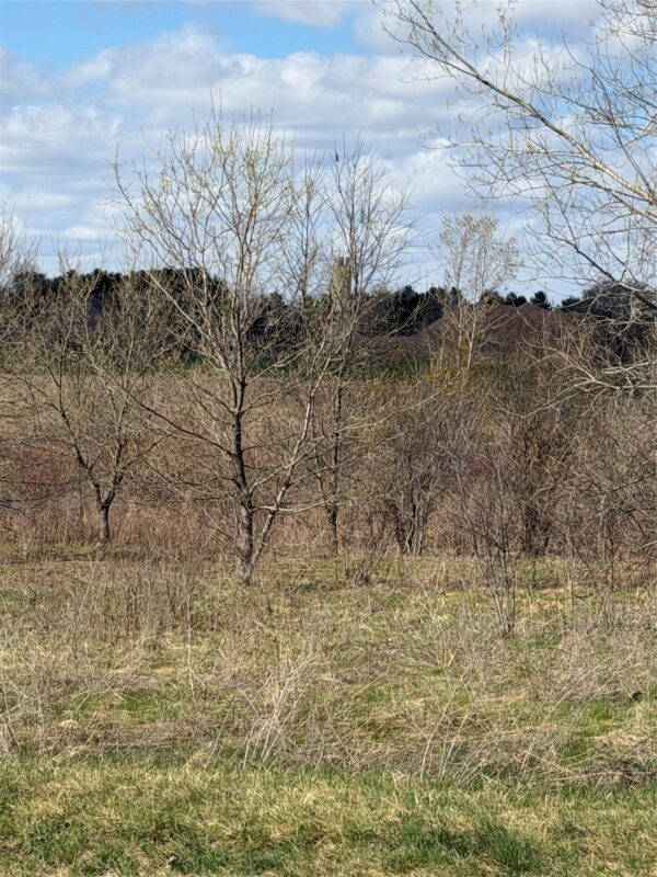 Residential at Lot 14 54th Avenue, Chippewa Falls, WI 54729 — photo 4